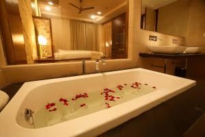 Photos by Grand Xenia